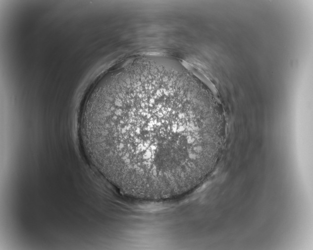 X0000088840293200706211838