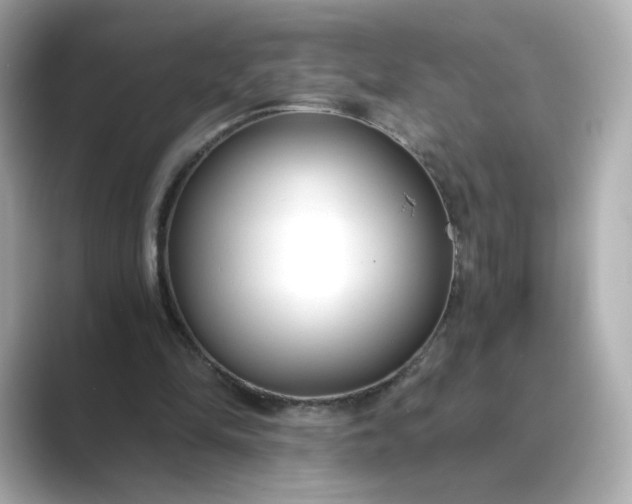 X0000088840294200706211838