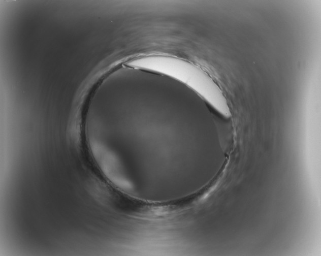 X0000088840295200706211838