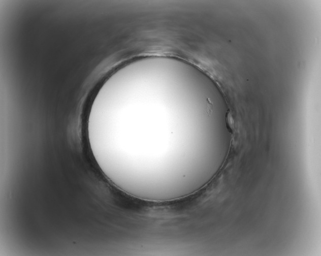 X0000088840296200706211838