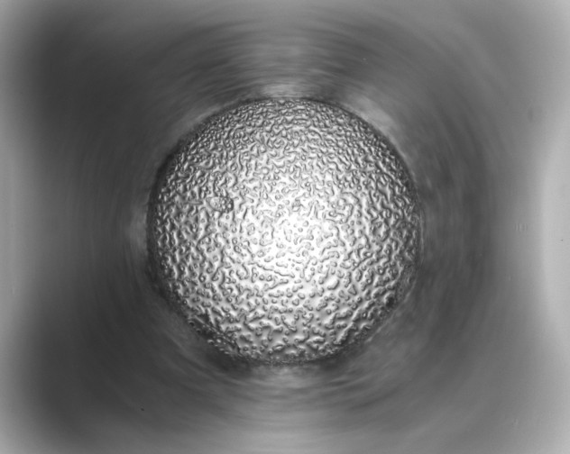 X0000088840297200706211838