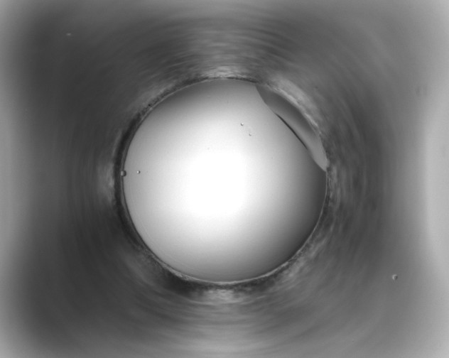 X0000088840298200706211838