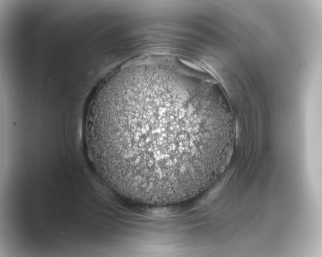 X0000088840301200706211838