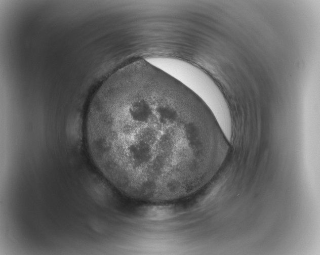 X0000088840303200706211838