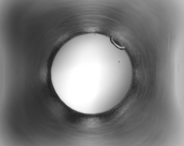 X0000088840304200706211838