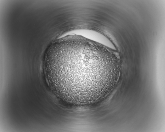 X0000088840305200706211838