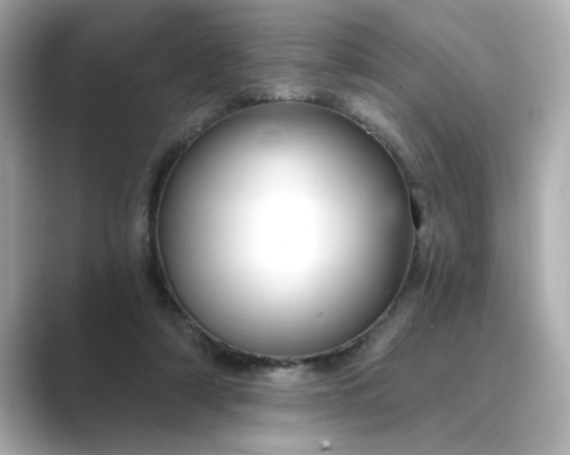 X0000088840306200706211838