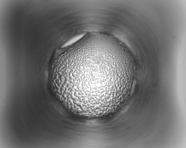 X0000088840309200706211838