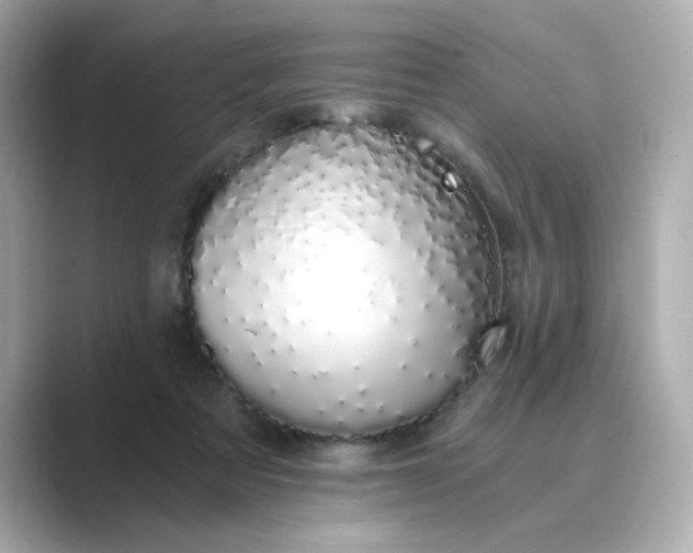 X0000088840313200706211838