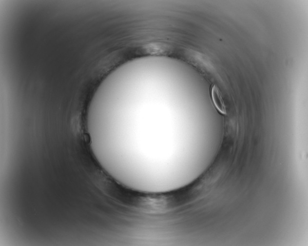 X0000088840317200706211838