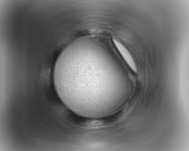 X0000088840319200706211837