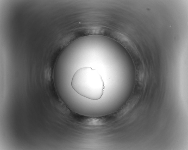 X0000088840326200706211837