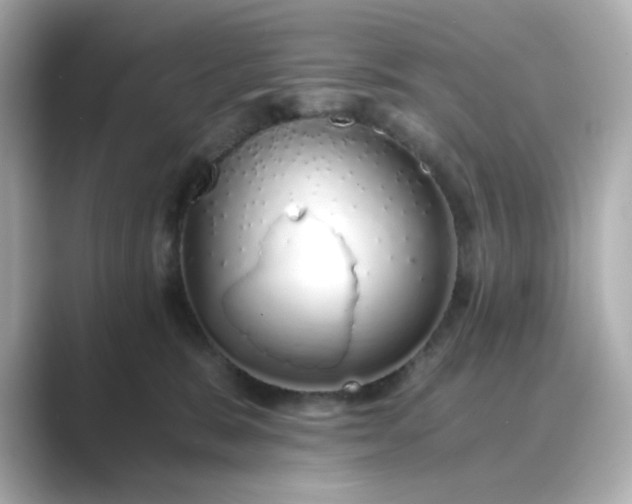 X0000088840327200706211837