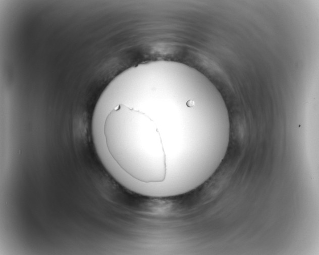 X0000088840328200706211837