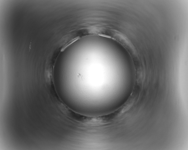 X0000088840329200706211837