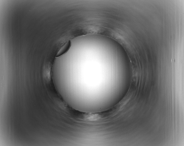 X0000088840334200706211837