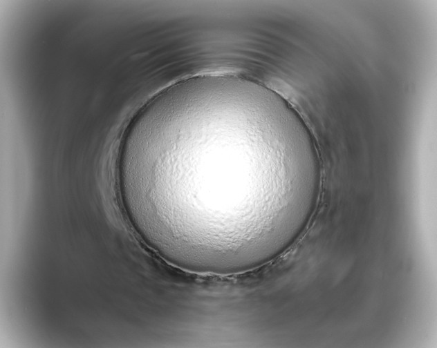 X0000088840337200706211837