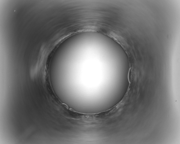 X0000088840338200706211837