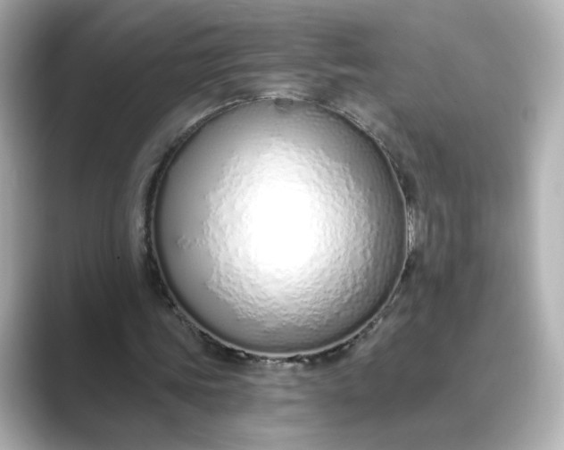 X0000088840339200706211837