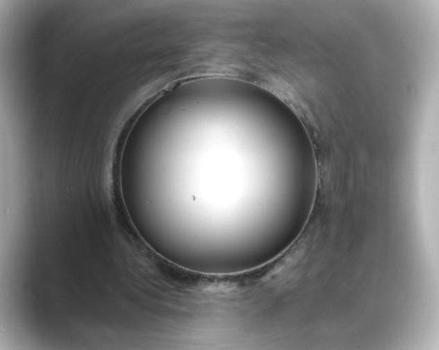 X0000088840340200706211837