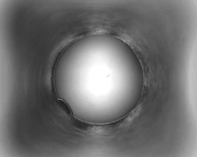 X0000088840341200706211837