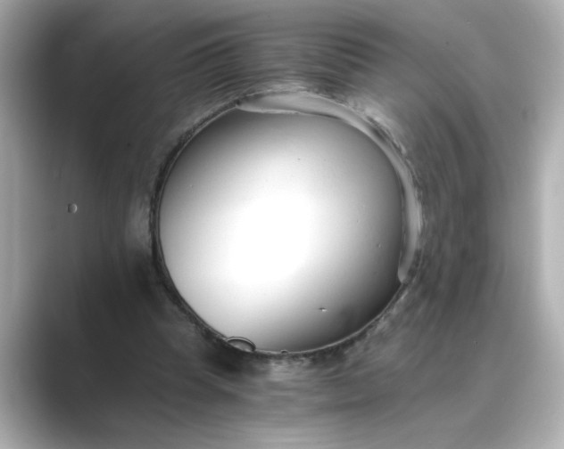 X0000088840345200706211837