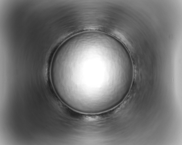 X0000088840346200706211837