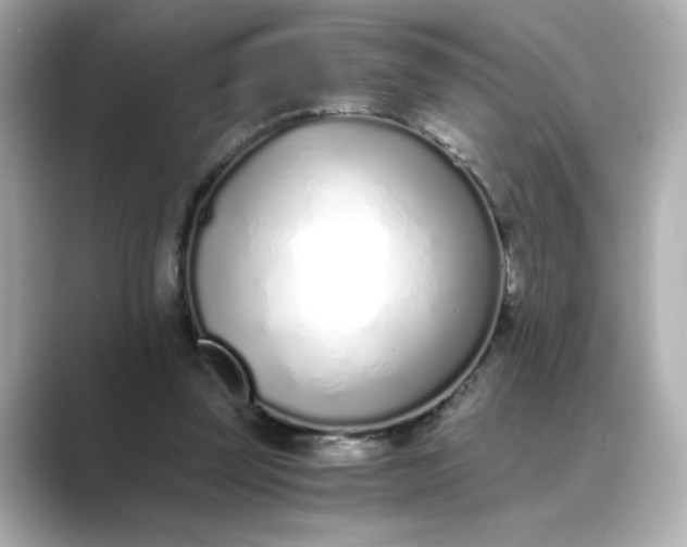 X0000088840347200706211837