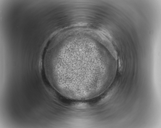 X0000088840348200706211837