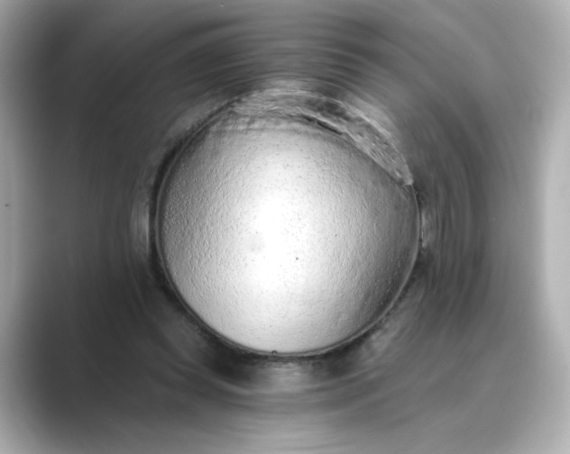 X0000088840349200706211837