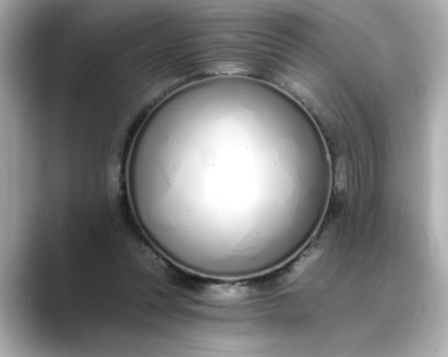 X0000088840351200706211837