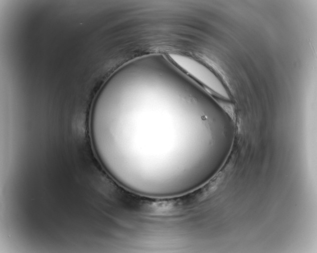 X0000088840353200706211837