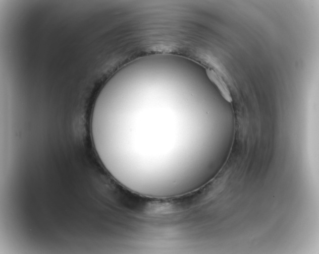 X0000088840354200706211837