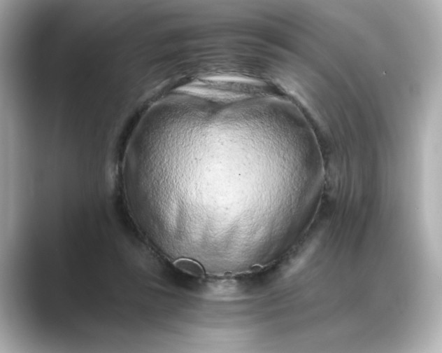 X0000088840355200706211837