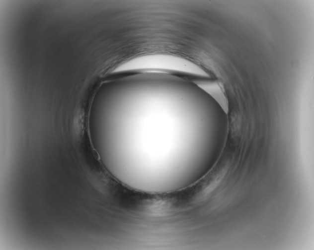 X0000088840356200706211837