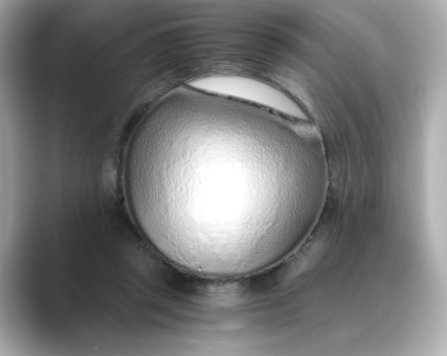 X0000088840357200706211837