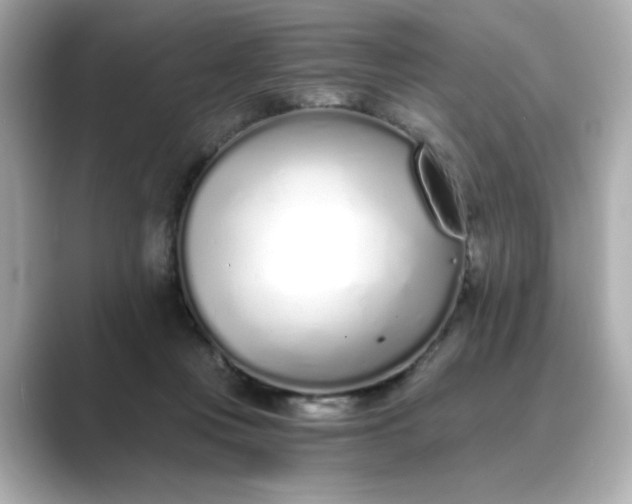 X0000088840359200706211837