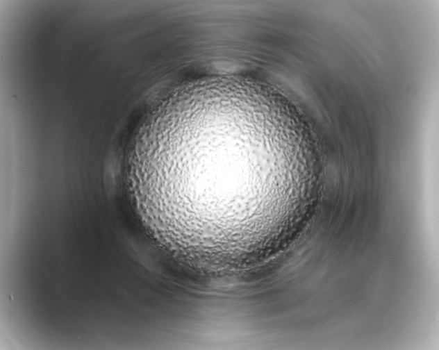 X0000088840360200706211837