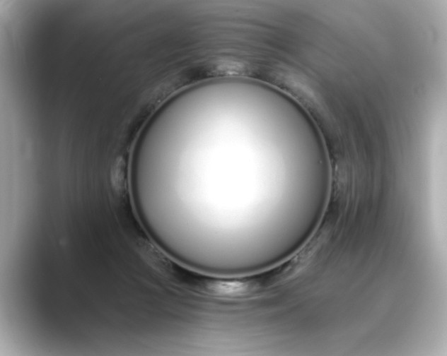 X0000088840361200706211837