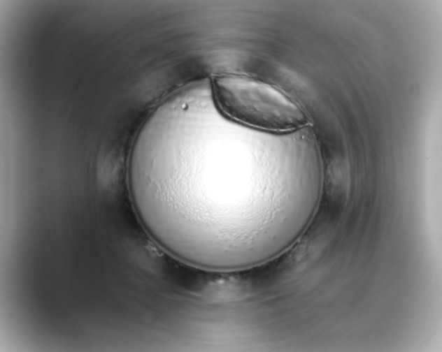 X0000088840364200706211837