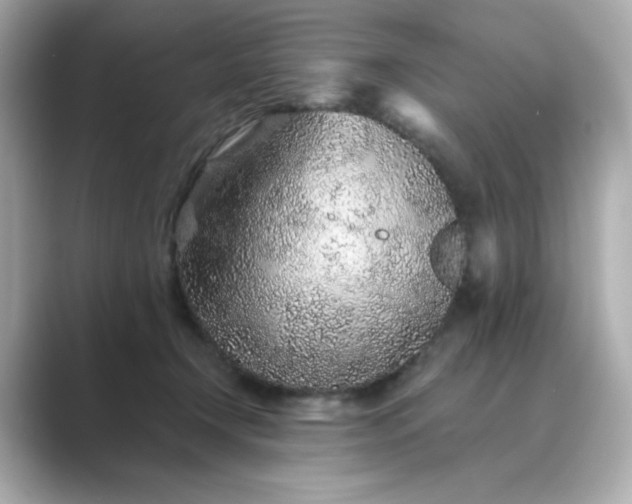 X0000088840366200706211837