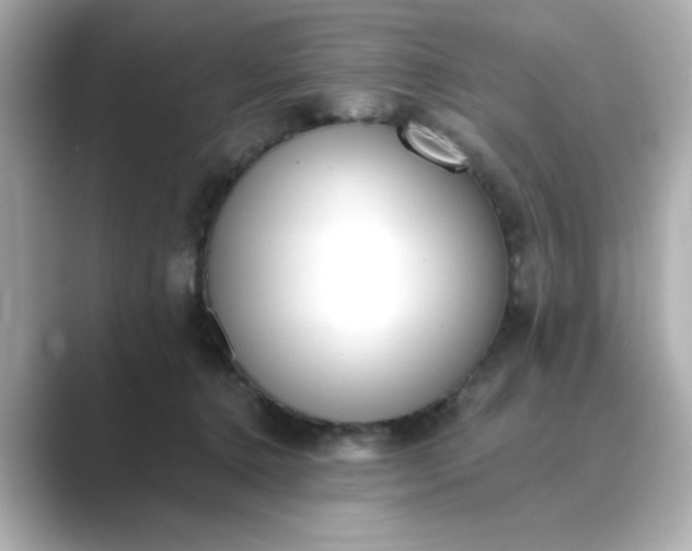 X0000088840368200706211837