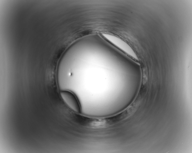 X0000088840369200706211837