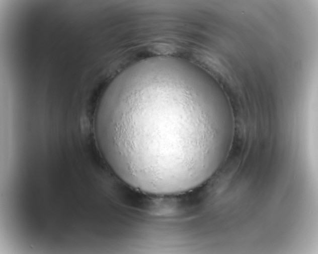 X0000088840371200706211837