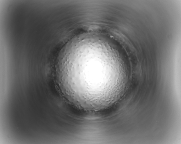 X0000088840372200706211837