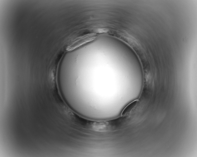 X0000088840373200706211837