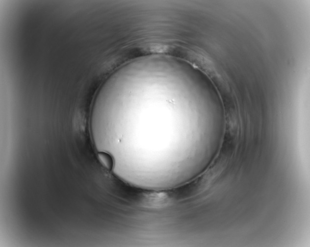 X0000088840374200706211837