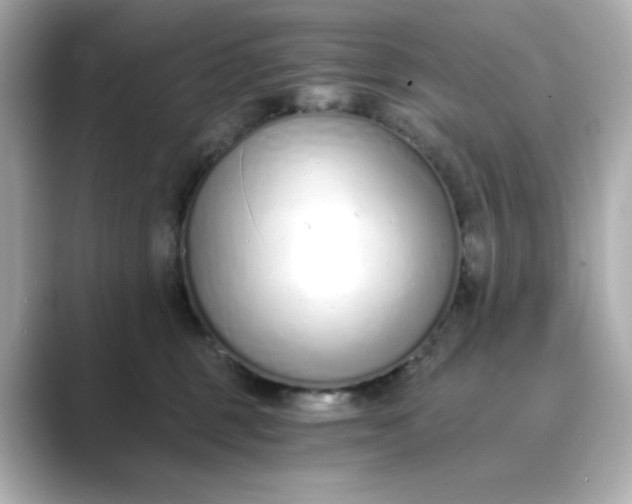 X0000088840375200706211837