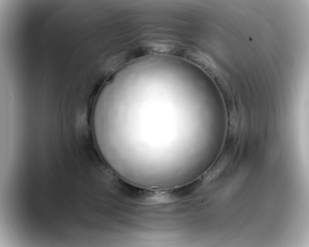 X0000088840377200706211837