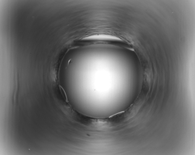 X0000088840380200706211837